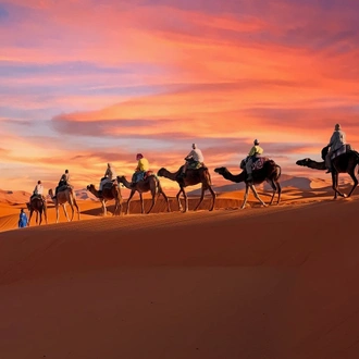 tourhub | Morocco Cultural Trips | 6 Days Tour from Marrakech to Fes & Casablanca Via Desert 