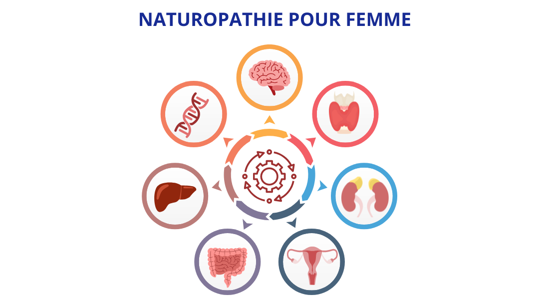 Représentation de la formation : Spécialisation de naturopathie pour femme