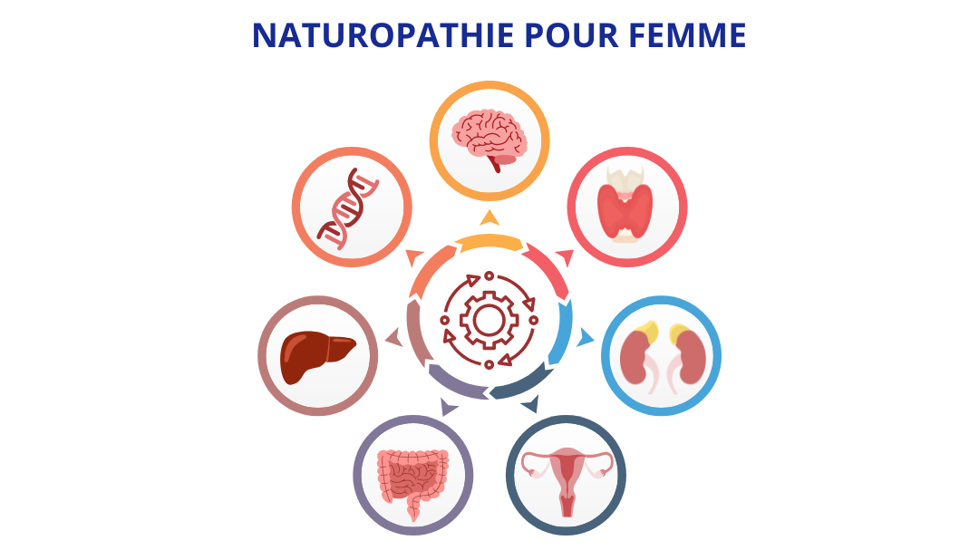 Représentation de la formation : Naturopathie spécifique à l'accompagnement de la femme