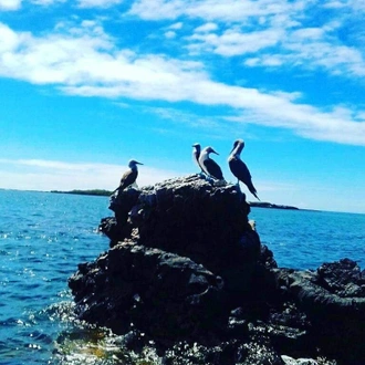 5-Day Galapagos Island Hopping - Santa Cruz & Isabela