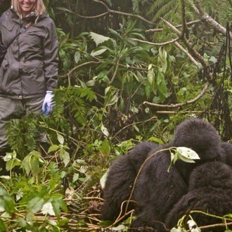 tourhub | ARP Travel Group | Gorillas Through the Mist - Gorilla Mountain View Lodge (On Request) 