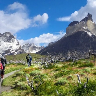 tourhub | Signature DMC | 4-Day Trekking Experience at Torres del Paine from Puerto Natales 