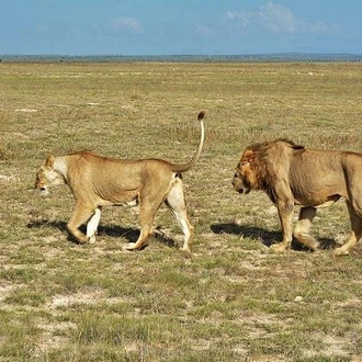 tourhub | KT & Safaris | 4 days Best of Kenya safaris (Tsavo east, Amboseli and Tsavo west.) 