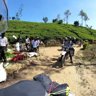 tourhub | Motor Trails | 10 Days Sri Lanka Highlights Guided Motorcycle Tour 