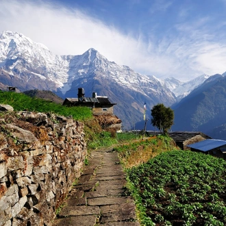 tourhub | G Adventures | Nepal: Annapurna Hiking, Rafting and Chitwan National Park 