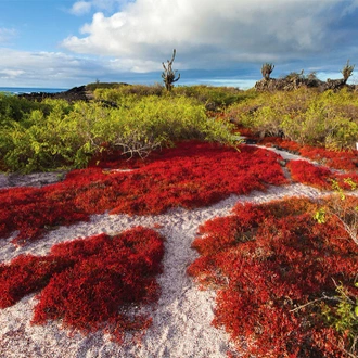 tourhub | Intrepid Travel | Complete Galapagos (Grand Daphne) 