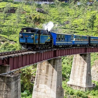 tourhub | Agora Voyages | Serene Nilgiris: Ooty and Coonoor Discovery Tour 