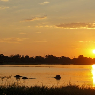 tourhub | Exodus Adventure Travels | Wildlife & Wilderness of Botswana 