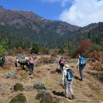 tourhub | World Tour Plan | Bhutan Sagala Trek 