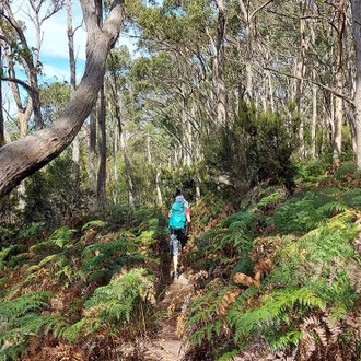 tourhub | Intrepid Travel | Walk Bruny Island & Tasmania's South Coast 