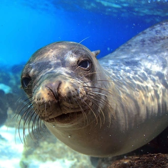 tourhub | Explore! | Volcanoes and Galapagos 