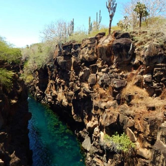 tourhub | Bamba Travel | Galapagos Island Hopping Diving Full Experience 8D/7N 