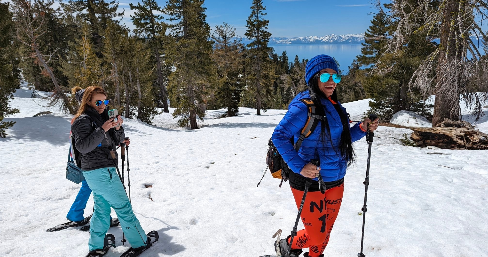 Half Day Snowshoe Hike through Chickadee Ridge: Good for Beginners image