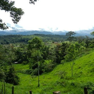 tourhub | Ecuador Galapagos Travels | 4 Days Amazon Safari Experience 