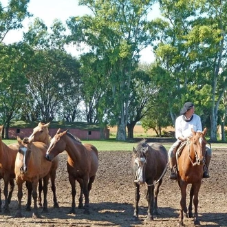 tourhub | Tangol Tours | 4-Day Buenos Aires Adventure Tour 