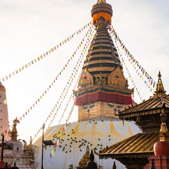 tourhub | One Life Adventures | Nepal Snapshot 7 Day tour 