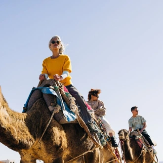 tourhub | Intrepid Travel | Premium Morocco Explorer with Essaouira 