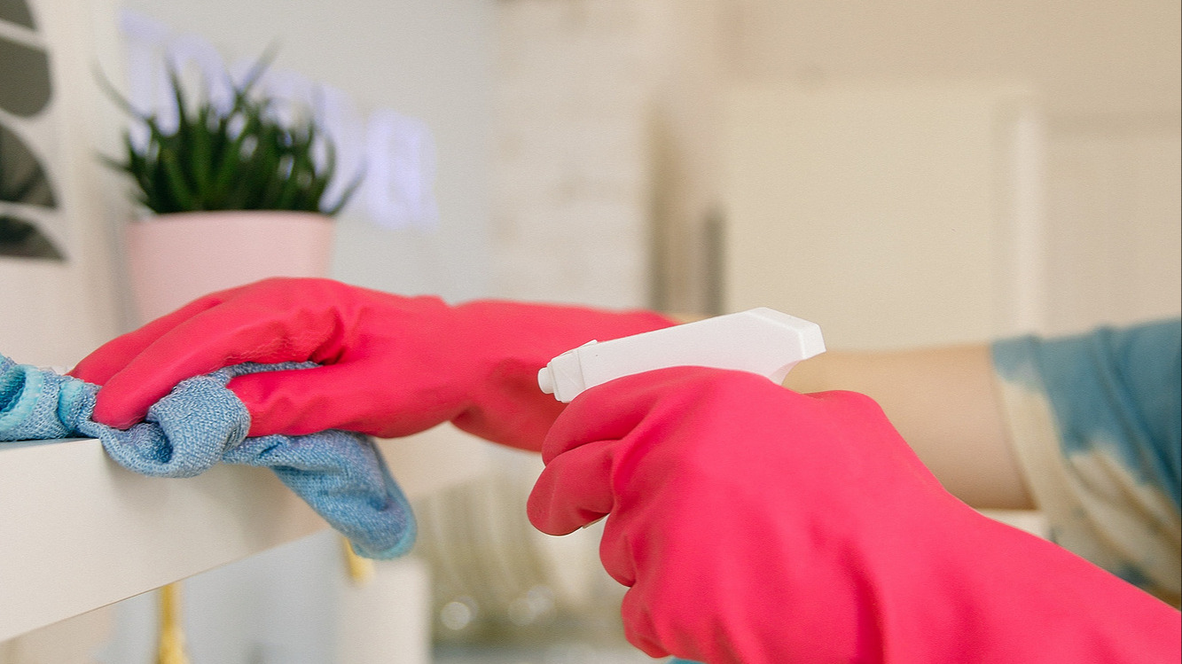 Représentation de la formation : Les techniques de nettoyage et de désinfection au domicile des particuliers et en entreprise