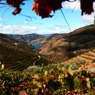 tourhub | Exodus Adventure Travels | Portugal: Walking & Wine - Premium Adventure 