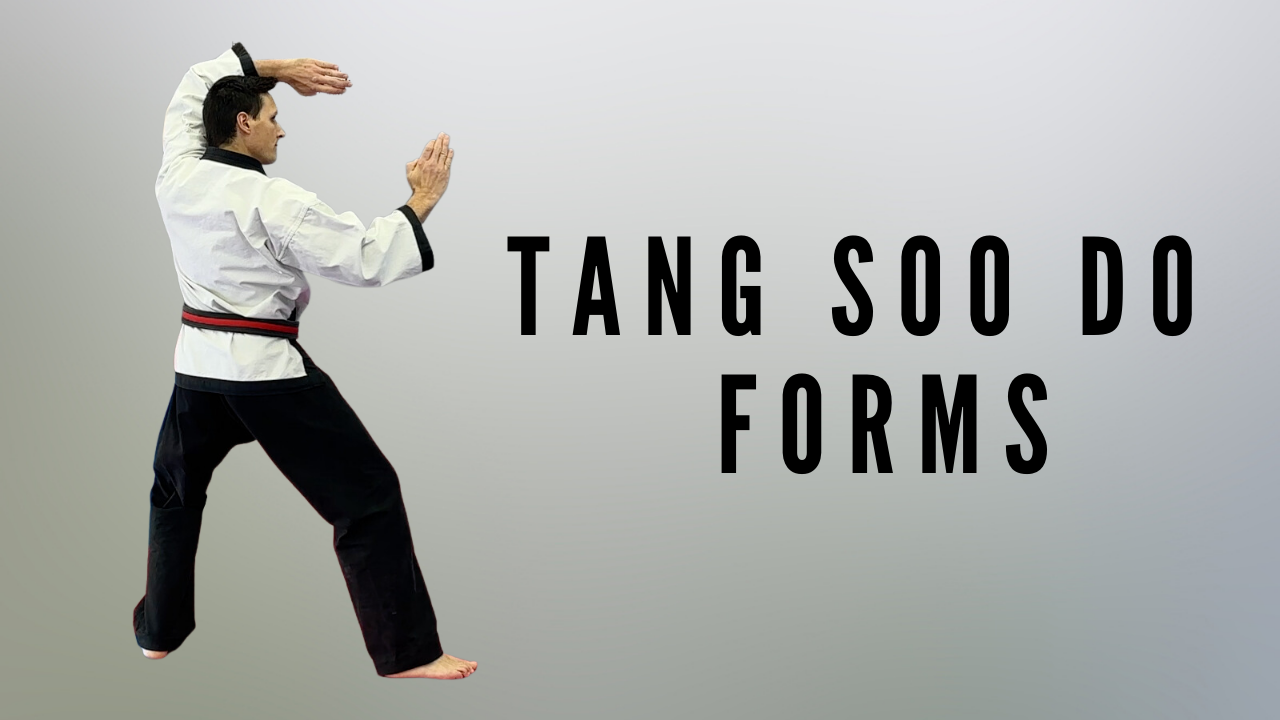 Follow Along Tang Soo Do Forms | Taekwondo Guide