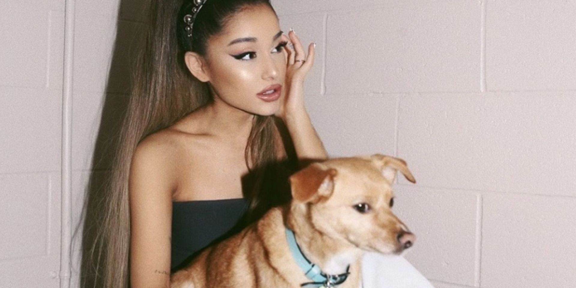 Ariana Grande launches new animal rescue shelter in Los Angeles 