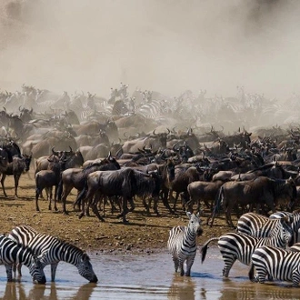 tourhub | Royal Private Safaris | 7 Days Kenya Road Safari With Luxury Lake Front Stay 