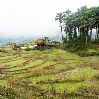 tourhub | Mr Linh's Adventures | Ha Giang Hiking Trails 5 days 4 nights 