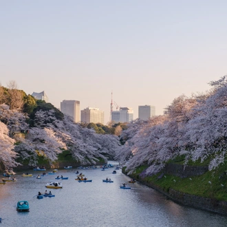 tourhub | Culture Trip | Japan by Train: The Grand Tour 