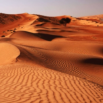 tourhub | Wild Frontiers | Northern Oman: Wadis, Mountains & Coasts 