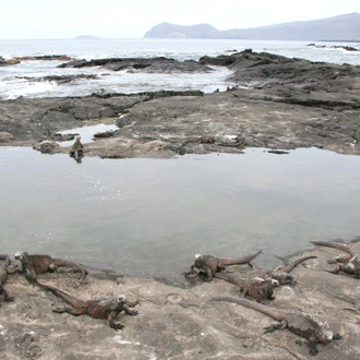 tourhub | G Adventures | Galápagos — West & Central Islands aboard the Eden 