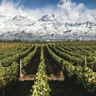 tourhub | Signature DMC | 3-Days Getaway for Wine lovers - Mendoza Experience! 