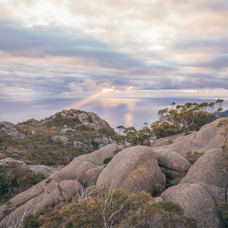 tourhub | Intrepid Travel | Premium Tasmania 