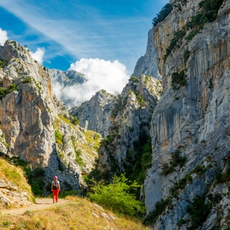 tourhub | Exodus Adventure Travels | Walking the Picos de Europa 