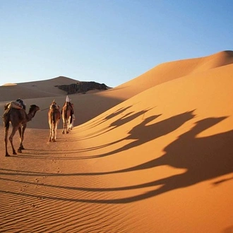 tourhub | Across Africa Tours Travel | 5 Days Sahara Express from Marrakech 