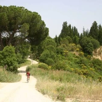 tourhub | UTracks | Cycle the Via Francigena - Siena to Rome 