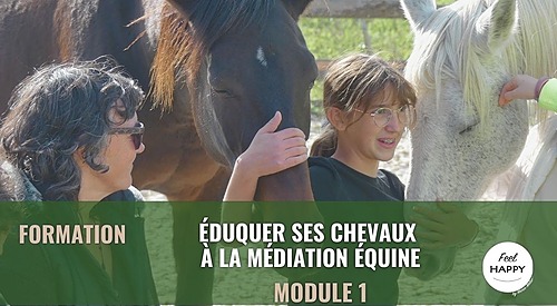 Représentation de la formation : Eduquer ses chevaux à la médiation équine - Module 1