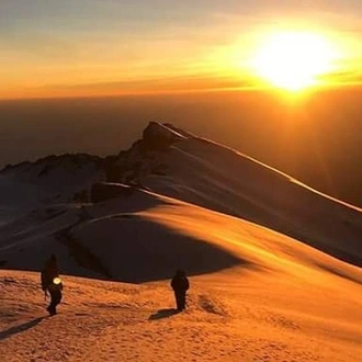 tourhub | Spider Tours And Safaris | MOUNT KILIMANJARO CLIMBING VIA MARANGU ROUTE 5 DAY TANZANIA 