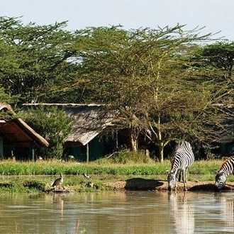 tourhub | Gracepatt Ecotours Kenya | 6 Days Samburu Sweetwaters Lake Nakuru & Lake Naivasha Wildlife Safari  