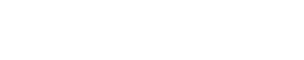 Vit logotyp digital Derome
