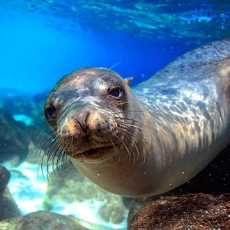 tourhub | Exodus Adventure Travels | Galapagos Voyage: Back in Time - Premium Adventure 