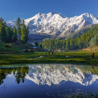 tourhub | Exploria | Hunza and Nanga Parbat Base camp Tour 