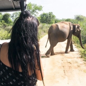 tourhub | Stelaran Holidays | Yala safari Tour 