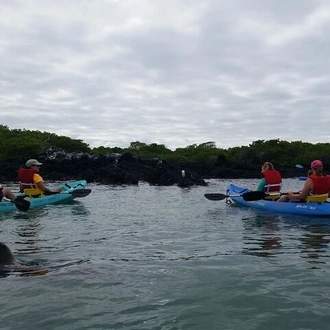 tourhub | Rebecca Adventure Travel | 5-Day Galapagos Multisport: Biking, Hiking, and Snorkeling 