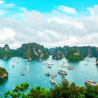 tourhub | Tweet World Travel | Premium Travel: A Vietnam Heritage Discovery Tour 