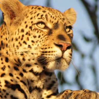 tourhub | G Adventures | Journeys: Discover Kruger & Namibia 