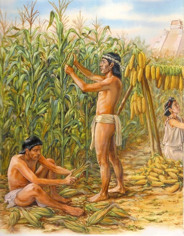 PERIODO AGRICOLA