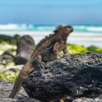 tourhub | Encounters Travel | Best of the Galapagos 