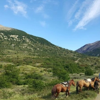 tourhub | Oasis Overland | SANTIAGO to BUENOS AIRES (31 days) Patagonian Adventures 