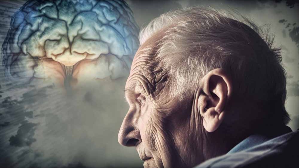 Représentation de la formation : Personne atteinte de la maladie d'Alzheimer, prévenir la perte d'autonomie et accompagner la fragilité au quotidien