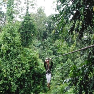 tourhub | Tangol Tours | 4-Day Manu National Park Tour: World Biosphere Reserve from Cusco 